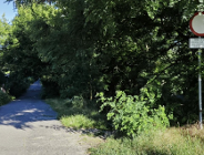 Ochrona parku a dojazd do ogródków działkowych