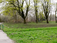 Odnowią park im. Adama Wodziczki