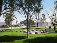 Odpady komunalne, dziki i Park Rataje