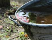 Ogromne zainteresowanie małą retencją