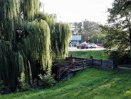 Okiełznać Bogdankę