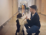 Opieka nad zwierzętami