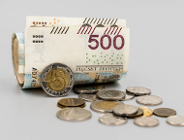 Opinia w sprawie wykonania budżetu