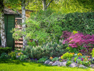 Otwieramy nasze ogrody