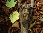 Pamiętajmy o zapomnianych