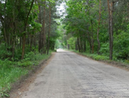 Podczas spaceru spytają mieszkańców o ul. Umultowską