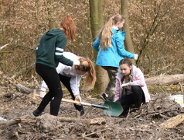 Posadzili drzewa w Lasku Marcelińskim