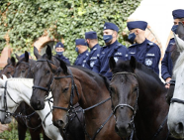 Poznańska Policja Konna