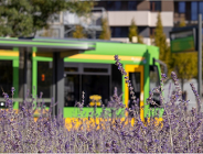 Priorytety dla tramwajów i inne uwarunkowania