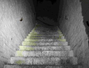 Program dla Fortu Ia w Poznaniu