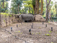 Przygotowania do konkursu na operatora DTP