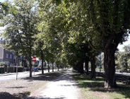 Przystanki w kolejce do modernizacji