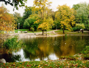 Radni o zwierzętach w mieście