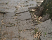 Remont chodników na ul. Rolnej