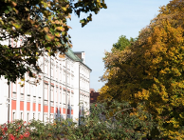 Równość w samorządzie