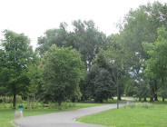 Rozdzielnica w Parku na Wildzie