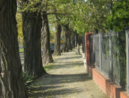 Ruszył remont chodnika na ul. Bohaterów Westerplatte