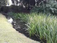 Rzeka Wierzbak pod obserwacją