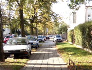 Sadzą drzewa na kolejnych ulicach