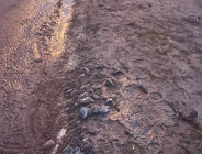 Samowolne prace drogowe