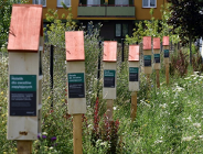 Schronienie dla pożytecznych owadów