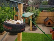 Schronisko dla zwierząt w czasach pandemii