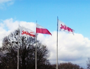 - SESJA - Lidia Dudziak: dlaczego nie powieszono flag Solidarności?
