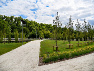 - SESJA- Nowe nazwy w mieście