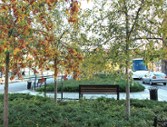 Skwer o wielu obliczach