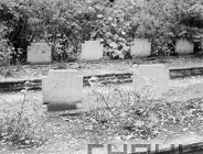 Śladami Cytadelowców