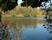 Spacer w koronach drzew