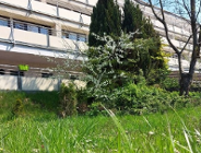 Stan budynku DPS Ugory