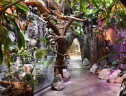 Stan obecny i kierunki rozwoju Starego Zoo