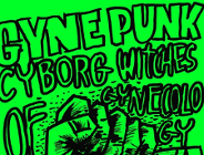 Stanowisko i oświadczenie w sprawie Gyne Punk