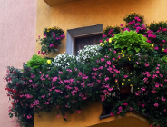 Startuje konkurs "Zielony Poznań"