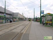 Św. Łazarz też nie chce ul. L. Kaczyńskiego