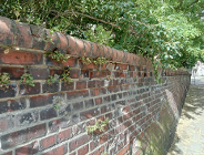 Świadek dawnego Chwaliszewa