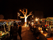 Świątecznie na Wildzie