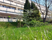 Sytuacja w DPS Ugory