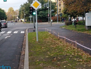 Trawnik zamiast asfaltu