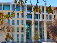 Uniwersytet a polityka