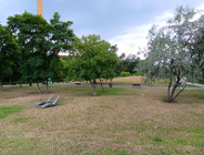 Upamiętnienie dla tej, która ma wiedzę