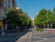 W obronie zieleni - stanowisko klubu Wspólny Poznań