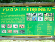 W sprawie dewastacji Użytku Ekologicznego Dębina I