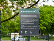 W sprawie wybiegu dla psów