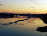 Wędrówki w klinach zieleni