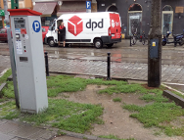 Więcej zieleni na ul. Dąbrowskiego