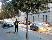 Więcej zieleni w centrum