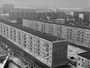 Winogrady świętują 50-lecie