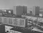 Winogrady zbierają zdjęcia i wspomnienia na jubileusz 50-lecia